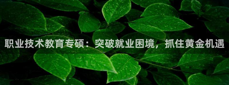 九游会真人第一品牌游戏合营|职业技术教育专硕：突破就业困境，抓住黄金机遇