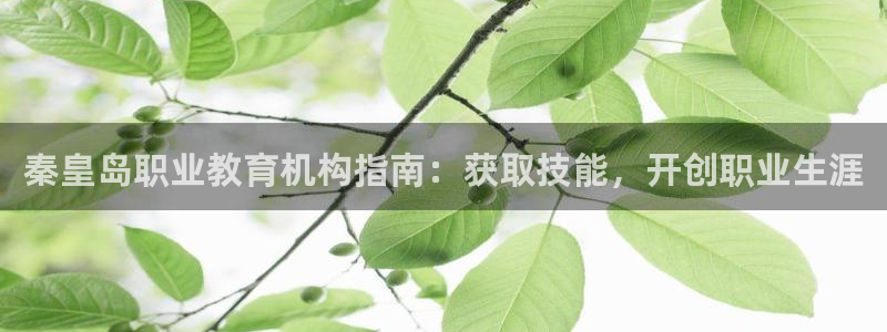 九游会j9备用网址|秦皇岛职业教育机构指南：获取技能，开创职业生涯