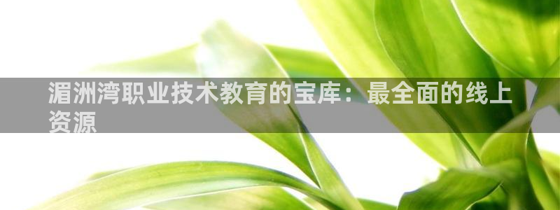 j9国际站登录|湄洲湾职业技术教育的宝库：最全面的线上
资源